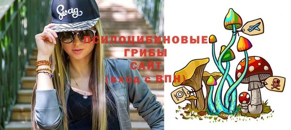 спиды Армянск