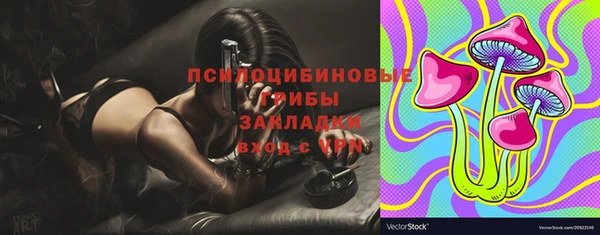 прущие крисы Аркадак