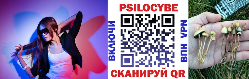 MEGA как зайти наркошоп Семикаракорск Галлюциногенные грибы Psilocybe